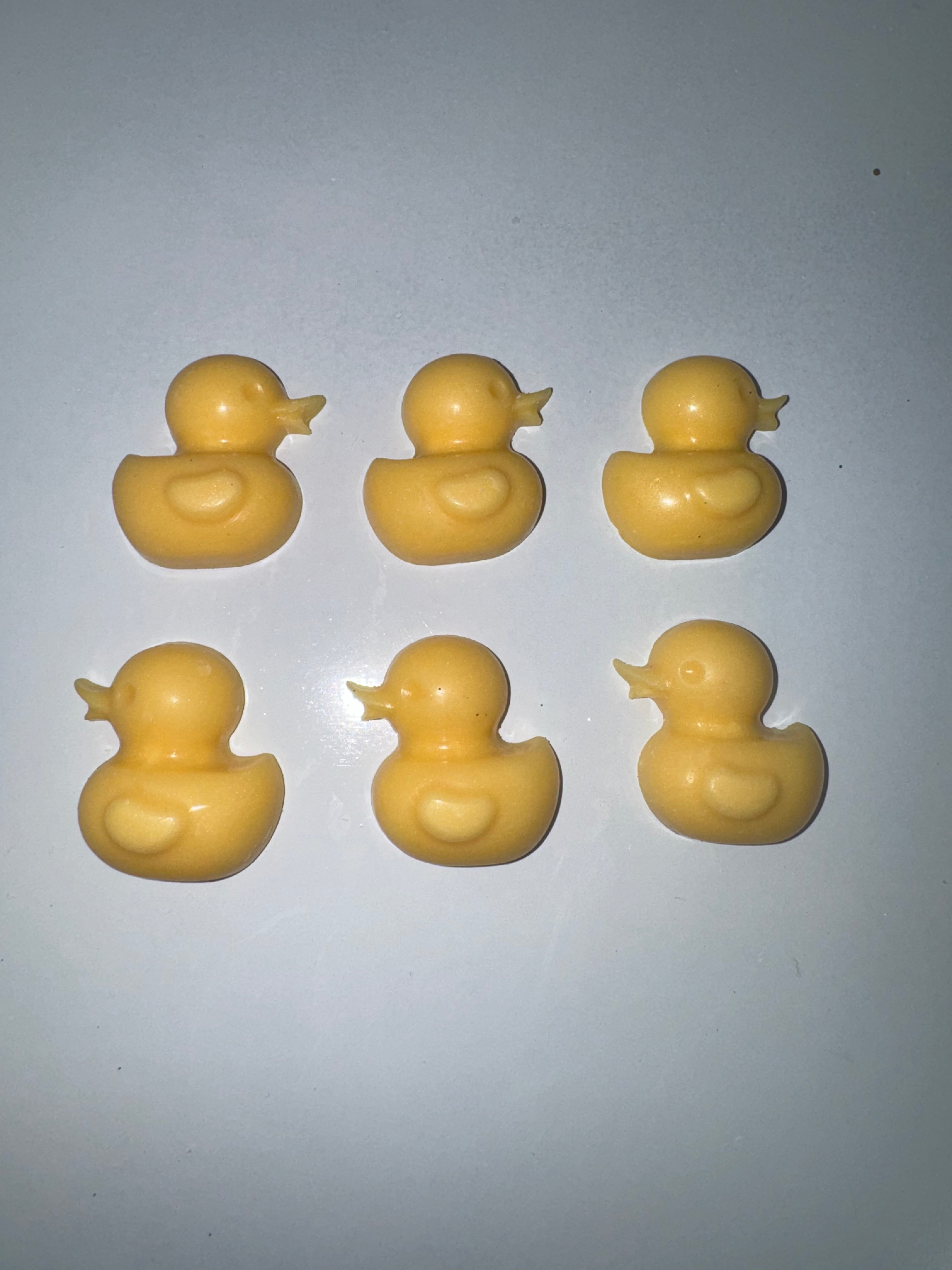 Duck Wax Melts