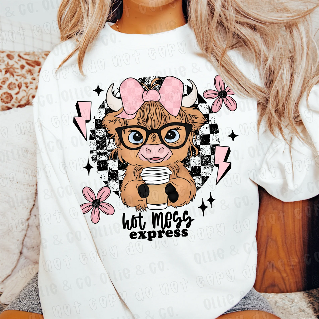 Hot Mess Express T-Shirt